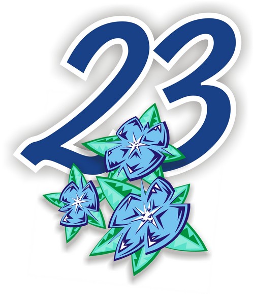 23